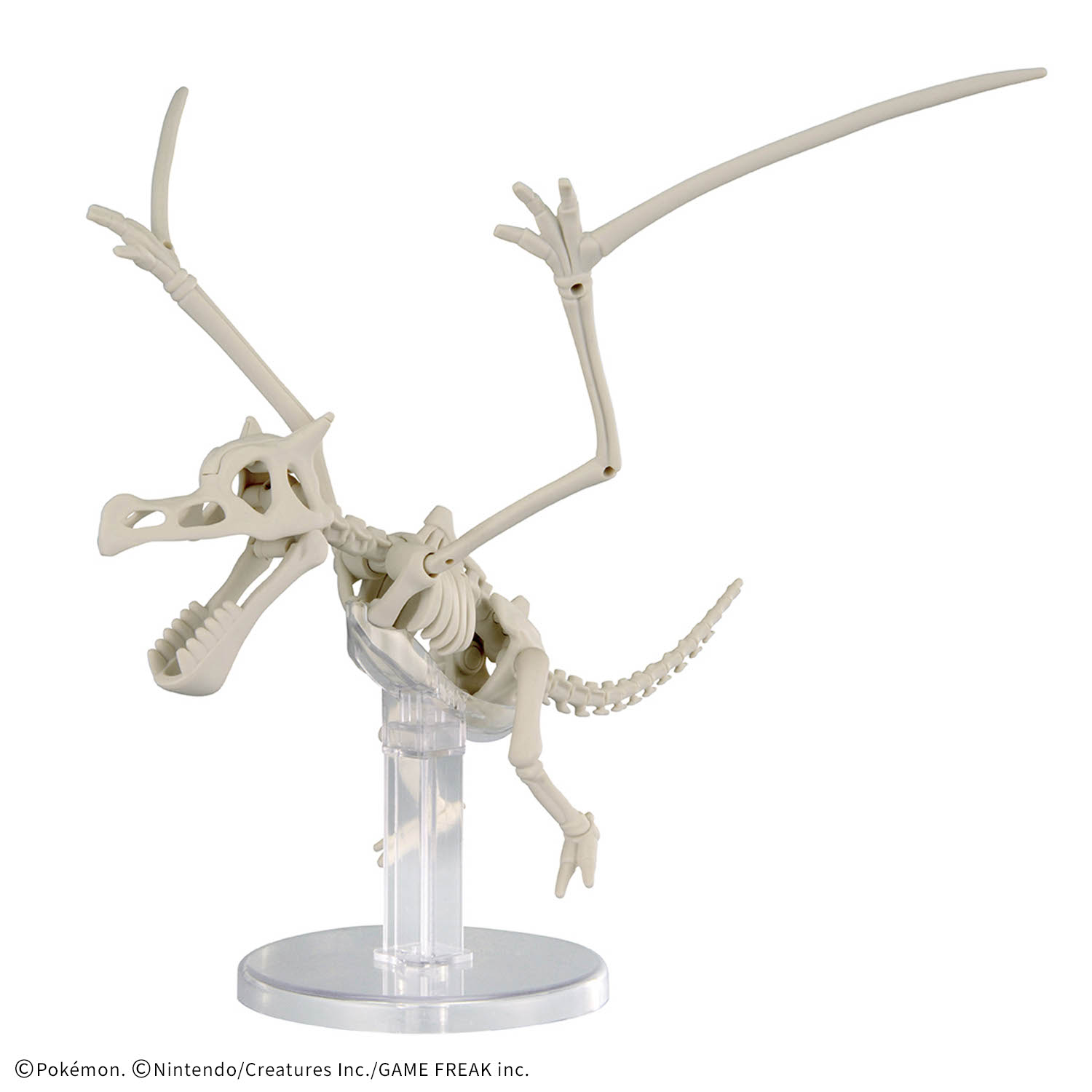 Bandai Pokemon Plastikmodell D – Model Kit Kyogre Bewertung und Preis