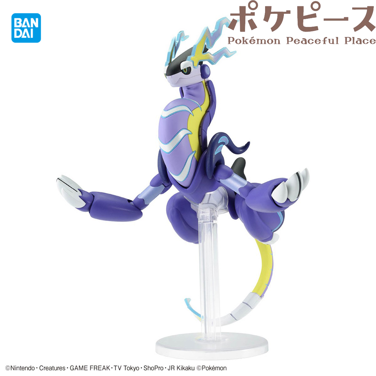 Bandai Offiziell lizenzierte P – Model Kit Kyogre Bewertung und Preis