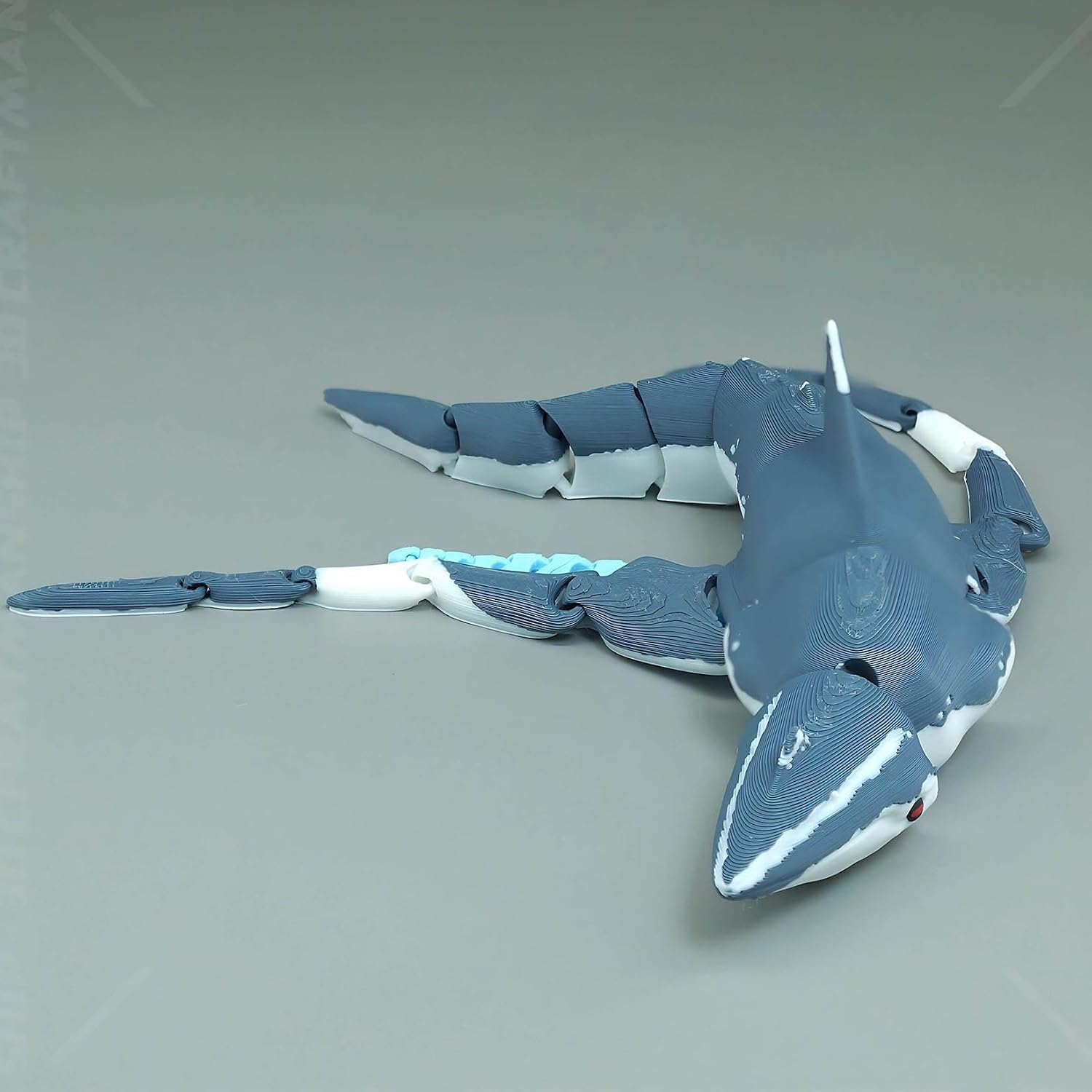 3D-Gedrucktes Bewegliches Mosa – Model Kit Kyogre Bewertung und Preis